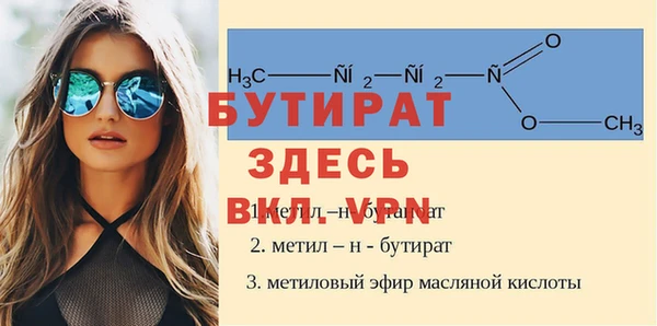 прущие грибы Каменногорск