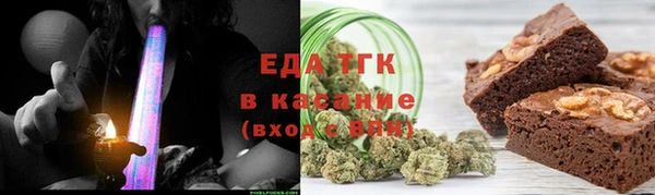 прущие грибы Каменногорск