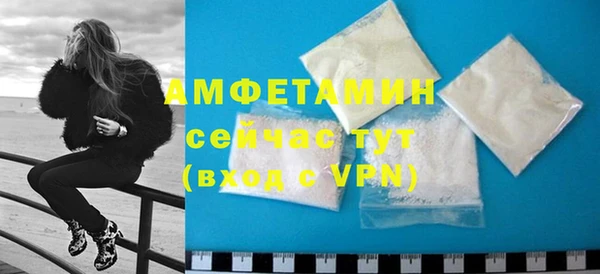 прущие грибы Каменногорск