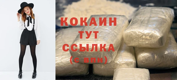 прущие грибы Каменногорск