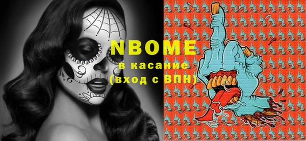 прущие грибы Каменногорск
