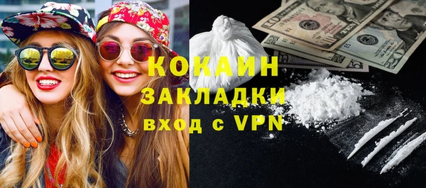 прущие грибы Каменногорск