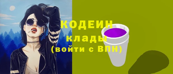 spice Каменка