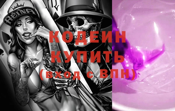 прущие грибы Каменногорск