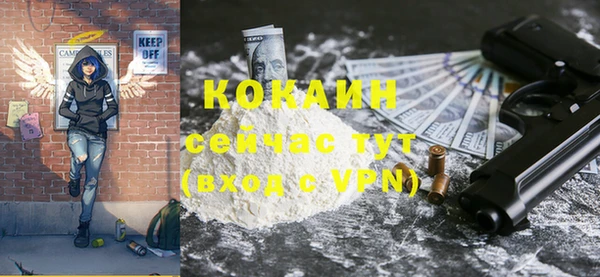 прущие грибы Каменногорск