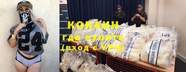 прущие грибы Каменногорск
