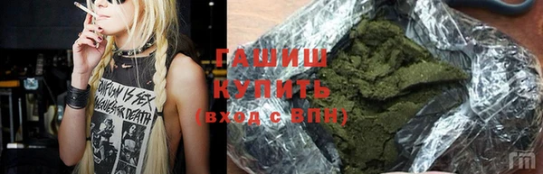 прущие грибы Каменногорск