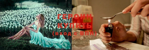 прущие грибы Каменногорск