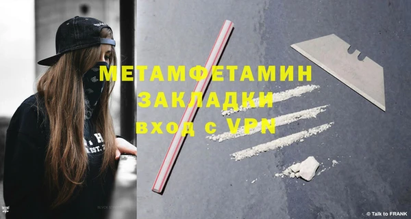 прущие грибы Каменногорск