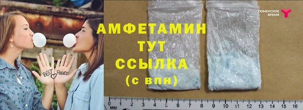 прущие грибы Каменногорск